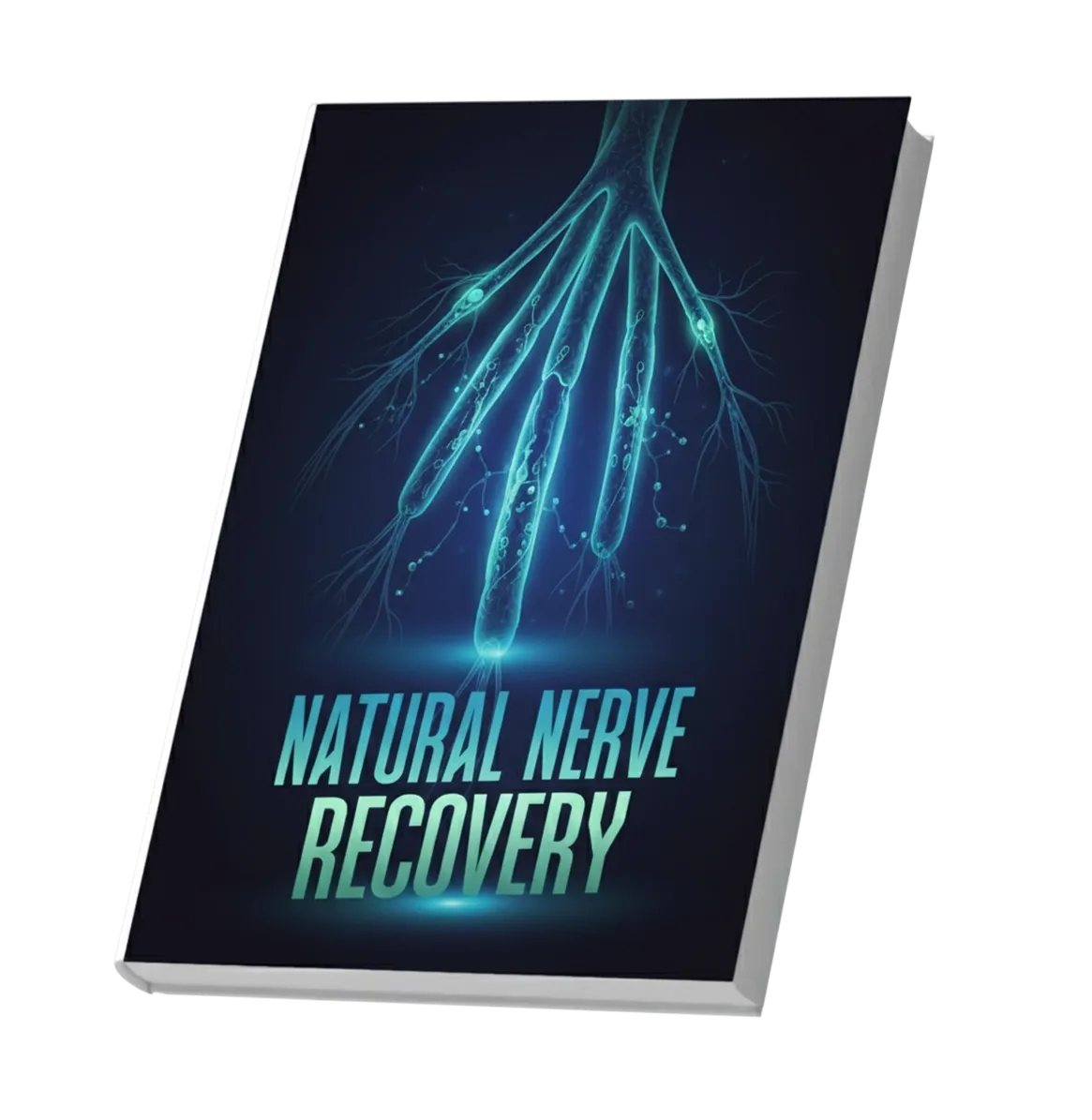 Natural Nerve Recovery